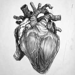 Love Songs