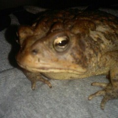 Lil Taco the Scientist - Jealousy (Lil Mayo Diss)