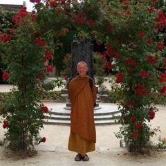 08. Om äppelmos och upplysning