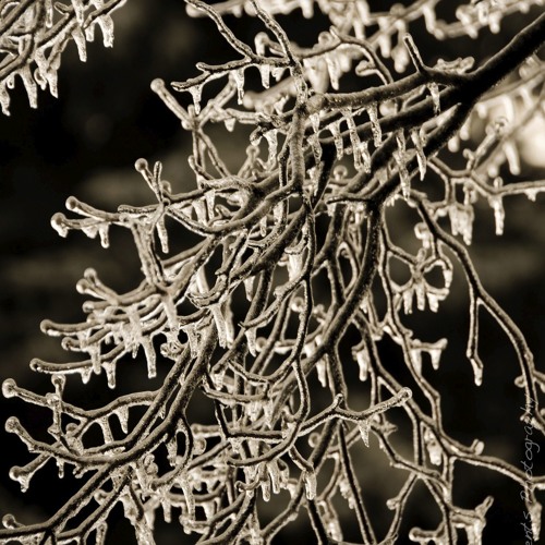 Twisted Perspective & Andrew J Klimek - It Was January