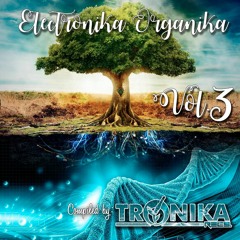 Mahamudra - The Indian (Original Mix) [Tronika Recs]