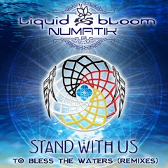 Liquid Bloom & Numatik - Stand With Us To Bless The Waters (Earth Cry Remix)