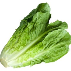 Lettuce Rap