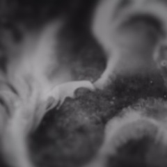 Daughter - Doing The Right Thing(ploki Remix Feat. Alenja)