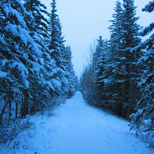 Christmas Drum and Bass Mix