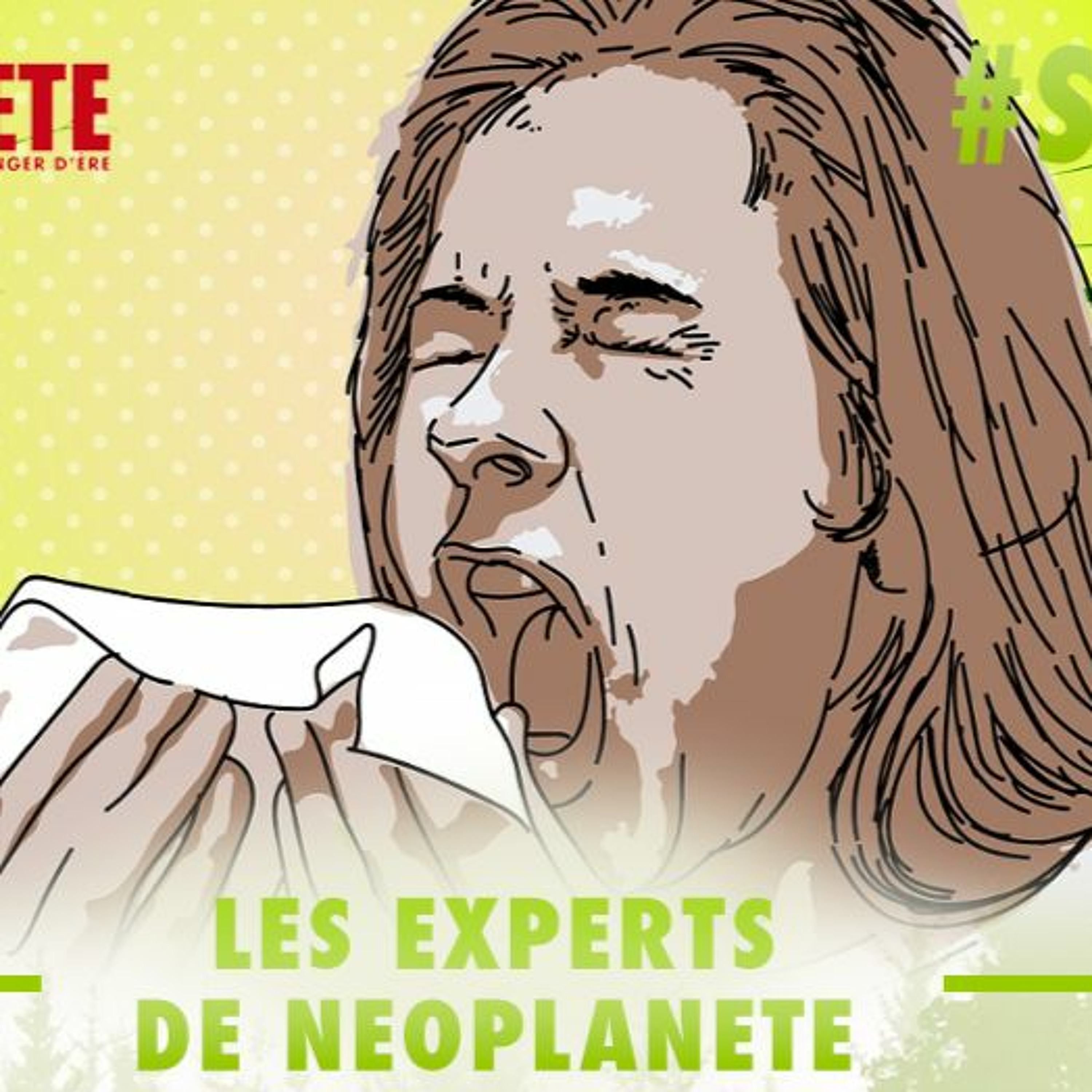 Les Experts