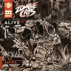 Zombie Cats & Safra - Trouble (Eatbrain033)