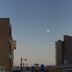群れinst