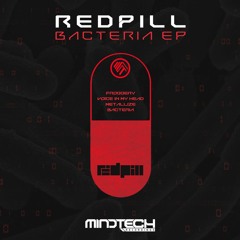 RedPill - Voice In My Head (Out Now!)