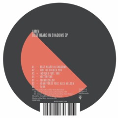 AMyn - Best Heard In Shadows EP (clips)