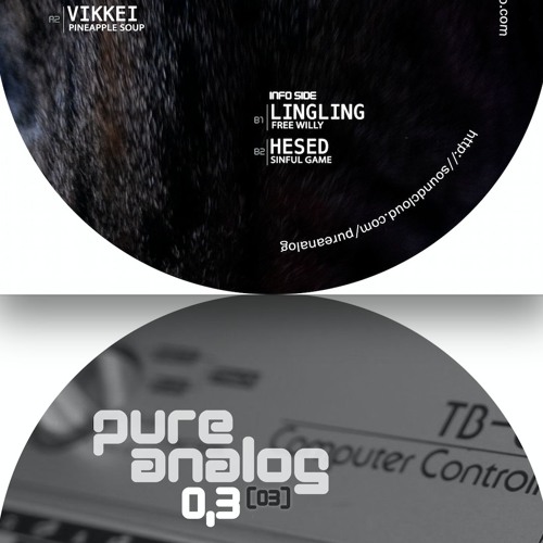 Pureanalog Records 0,3(03) web previews