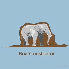 Boa Constrictor