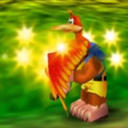 Wonder wing 2024