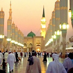 الحب في الهوى عربد