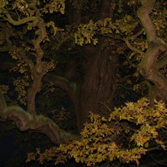 Visions Of A Sacred Oak Tree
