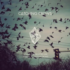Catching Crows [Counting Crows 'Round Here' Bootleg Remix]