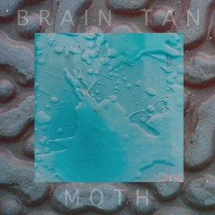 Moth