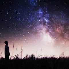 Under the Same Sky