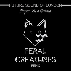 FSOL - Papua New Guinea (Feral Creatures Remix)