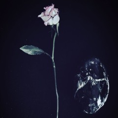 SEMI FEMI PRESENTS: MIX#2 Dark side of the rose by Nixxon