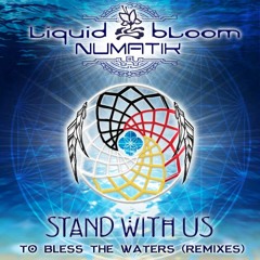 Liquid Bloom & Numatik - Stand With Us To Bless The Waters (Soulacybin Remix)