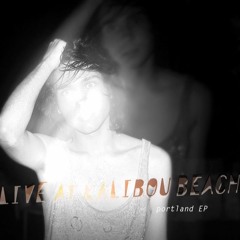 Live At Kalibou Beach - Venus (Hey, Palsson! Remix)