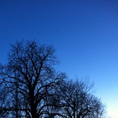 I Kind Of Like The Way It Sounds