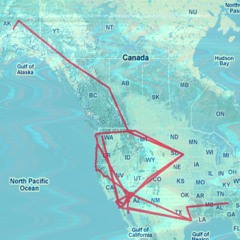 Misfit (prod. MisterMojo)