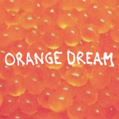 Water Skin - Orange Dream