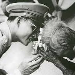 Dear Refeoh, Episode 41- Majestic Honour