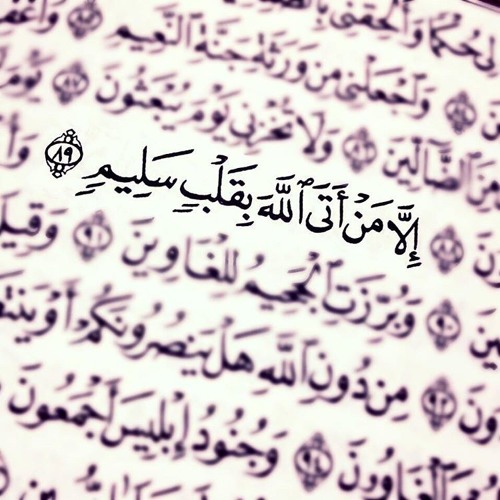 عاطفة بلا علم | د.أحمد عبد المنعم
