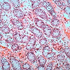 Needsome Radioshow DJ Set Nov 04 2016