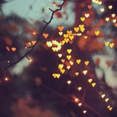 Can't Help Falling In Love