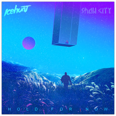 Icehunt & Snow City - Hold For Now