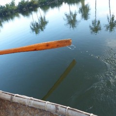 Expo AutreS RegardS / Mary l'astérisk - Dissonnance