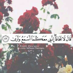 اذْهَبْ أَنْتَ وَأَخُوكَ بِآيَاتِي وَلَا تَنِيَا فِي ذِكْرِي | تلاوة خاشعة | الشيخ محمود سلمان الحلفاوي .