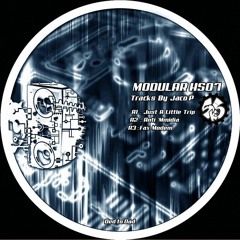 Fax Modem - MODULAR HS 07 - [A3]