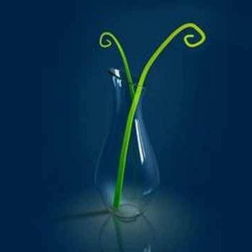 Snayk - Growing On Me