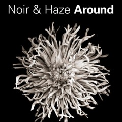 Free Download: Noir, Haze - Around (Lowork Bootleg)
