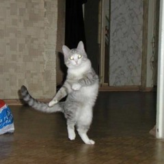 Dance Time