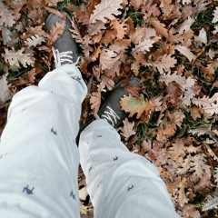 SARARIP SOLARIM (demo)