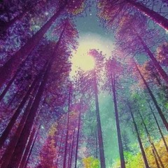 Set Psicodelico Trance