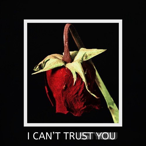 I CANT TRUST YOU
