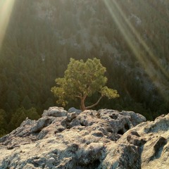 Pac Corn (RIP Biggie)