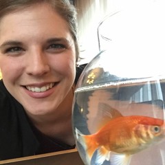 023 - Natalie Warnert - Episode 23 - 20161117 AgileNEXT