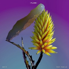 Flume Feat. Tove Lo - Say It (Studio Acapella)