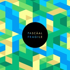 cheated (pascäal remix)