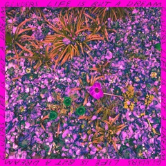 Genders - Life Is But A Dream