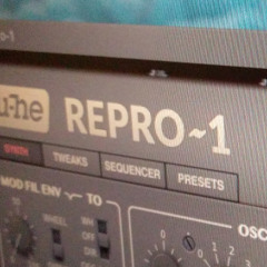 Ode to Repro~1