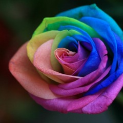 IcyTwat X Playboi Carti Type Beat